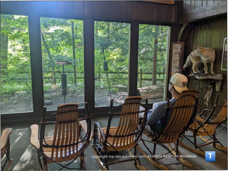 Nature Center rocking chairs