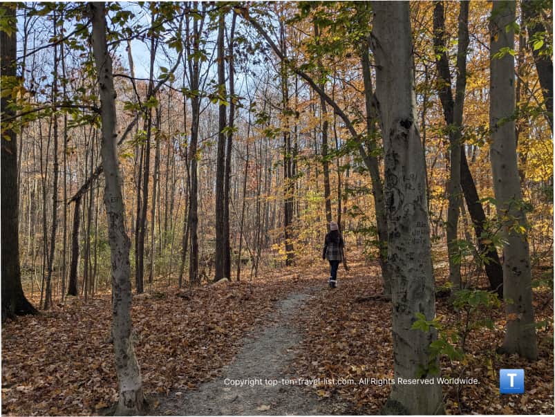 Autumn hike at North Chagrin reservation