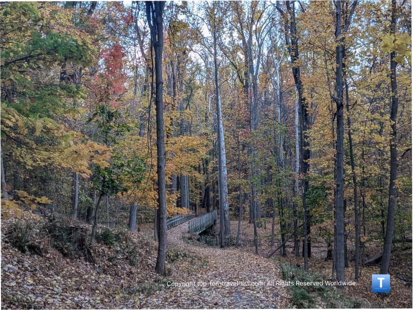 Autumn foliage at Big Creek Reservation in suburban Cleveland 