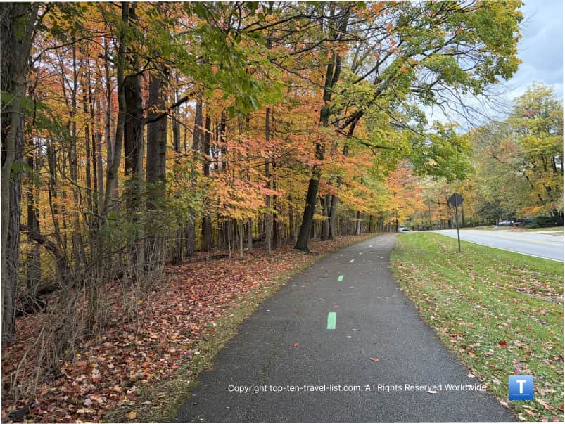 Orange fall foliage at Big Creek Reservation