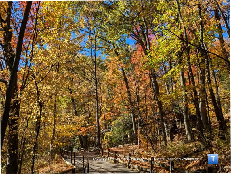 Fall colors at the Cleveland Zoo