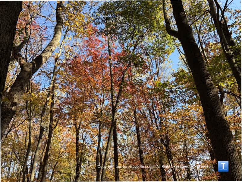 Fall colors on the Lake Issac trail