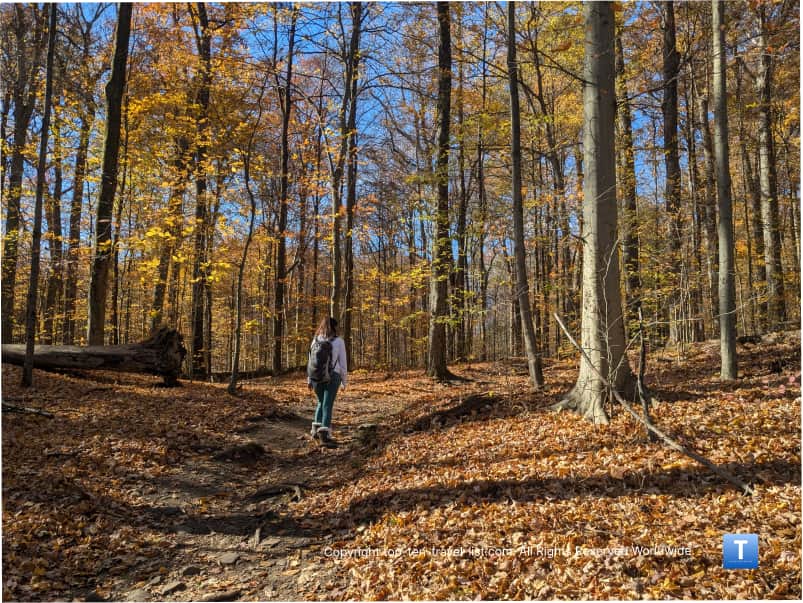Fall hike along the Hemlock trail at Brecksville Reservation