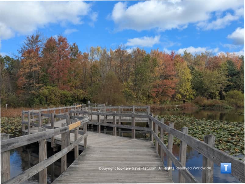 Fall day at North Chagrin Reservation