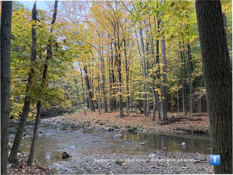 Gorgeous creek views at Big Creek Reservation