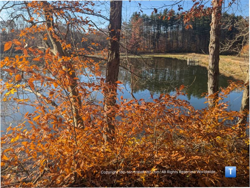 Lakeview on the Hemlock trail at Brecksville Reservation