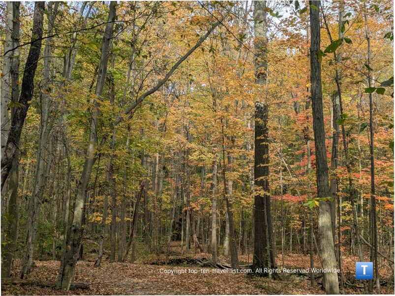 Fall color hike at North Chagrin reservation