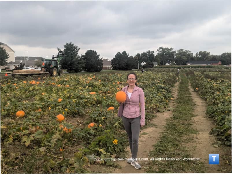 Pumpkin patch at Pickering Hill