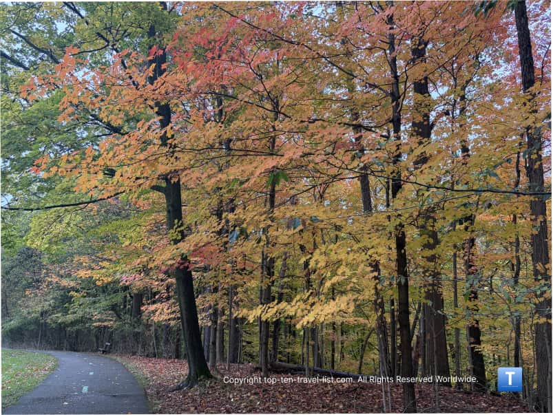 Red fall foliage at Big Creek Reservation