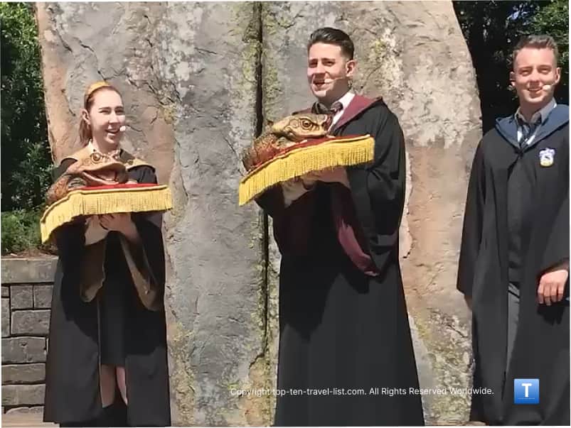Frog Choir show at Islands of Adventure