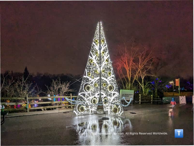 Gorgeous tree at the Cleveland Zoo 