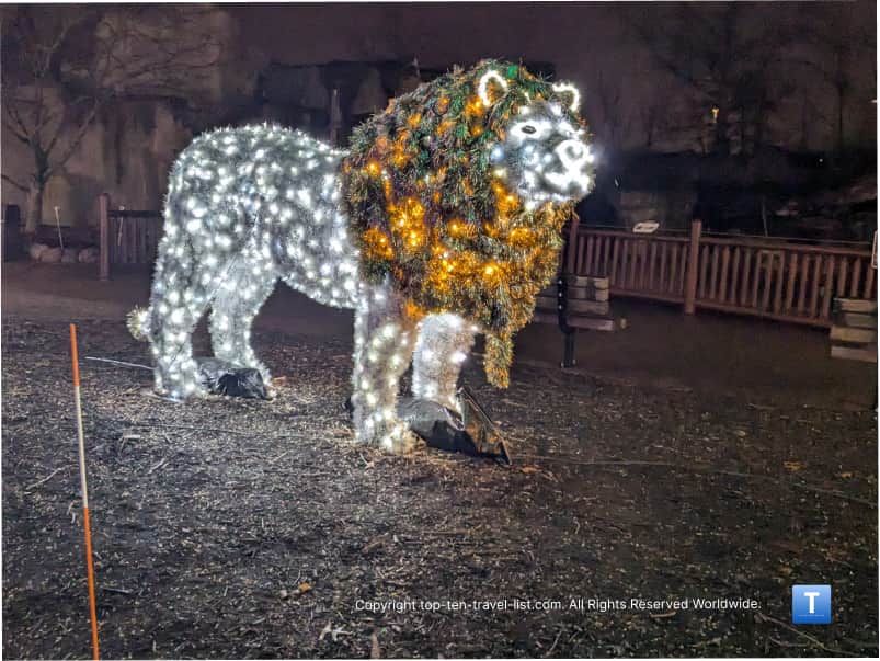 Lion LED display at the Cleveland Zoo lights