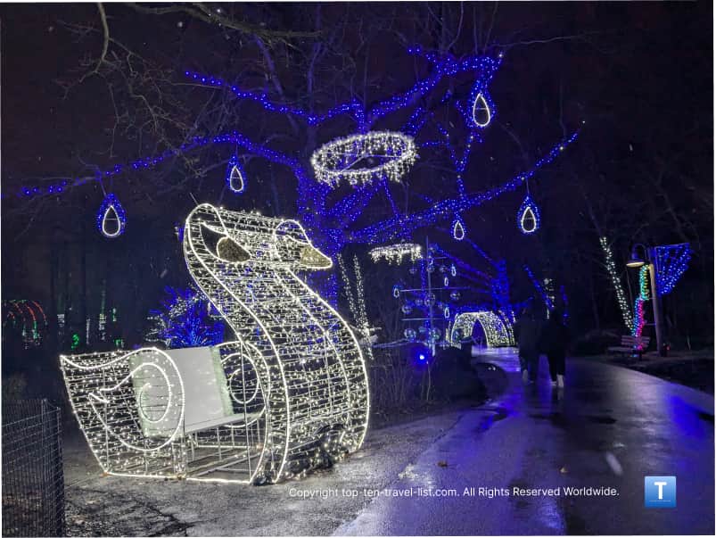 Sleigh display at the Cleveland Zoo Lights 