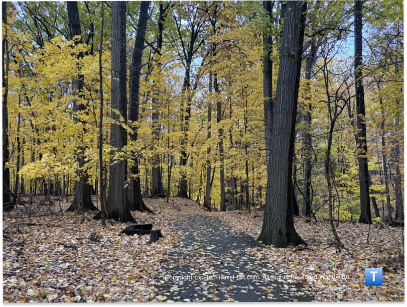 Leaf peeping at Big Creek Reservation in Parma Heights, Ohio