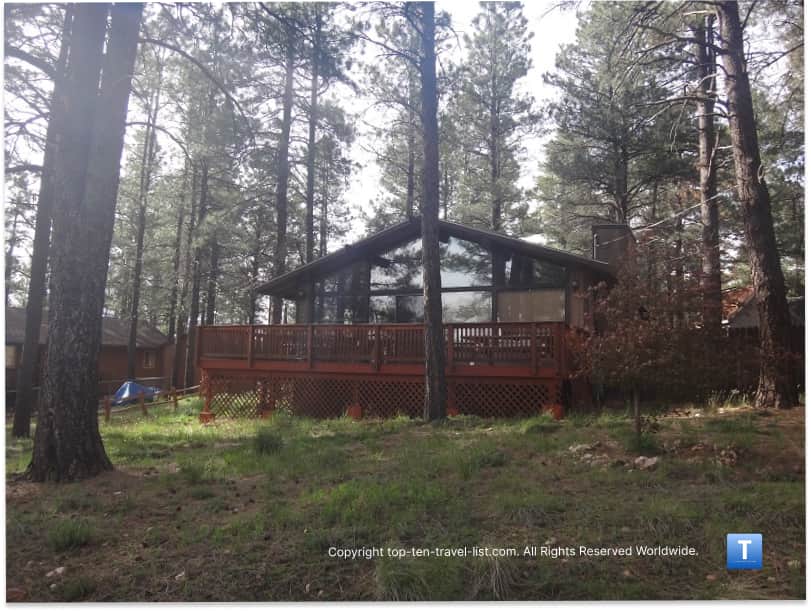 Ponderosa pines outside our rental in Kachina Village