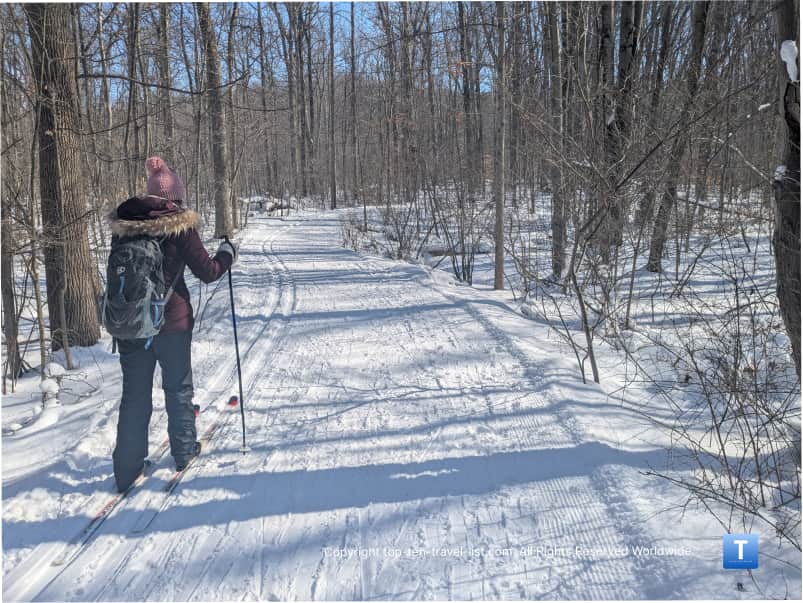 Skiing at Chapin Forest