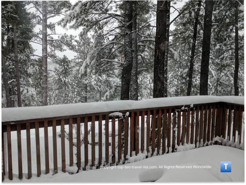 Snowy pines in Kachina Village, Arizona