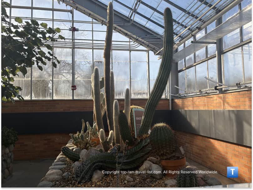 Cacti garden at Matthaei Botanical Gardens