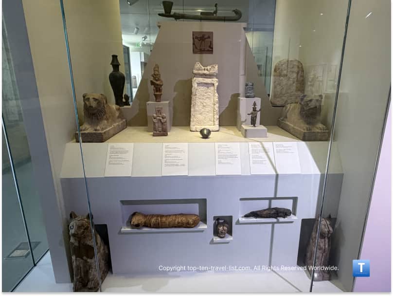 Cat mummy at Kelsey Museum of Archaeology