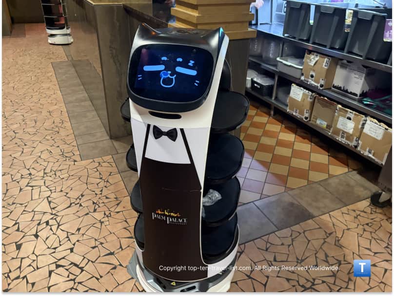 Cat server robot at Palm Palace in Ann Arbor