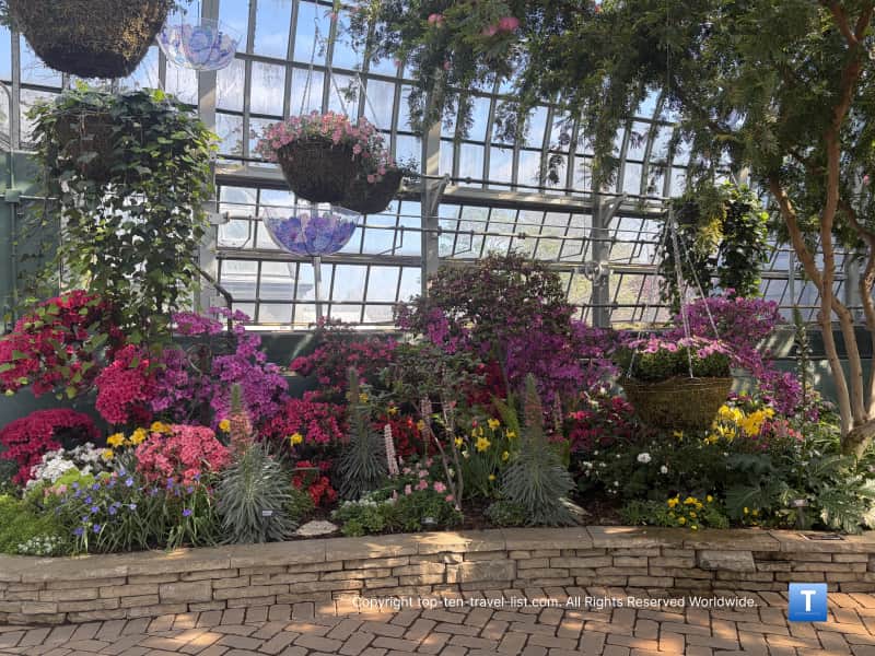 Spring Showers of Flowers display at the Garfield Park Conservatory
