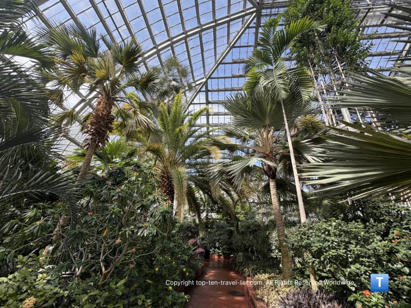 Palm House at the Garfield Park Conservatory