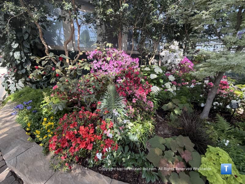 Colorful spring flower display at the Garfield Park Conservatory