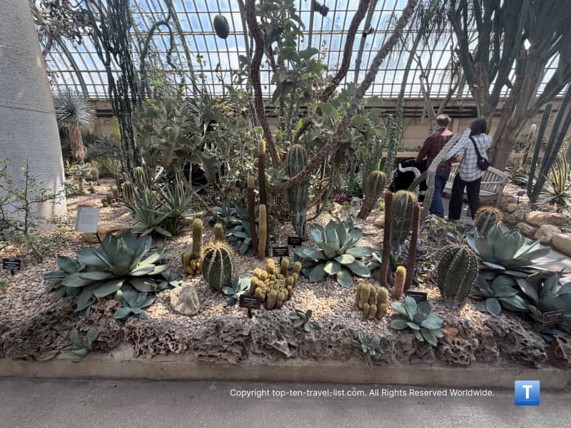 Desert House at the Garfield Park Conservatory