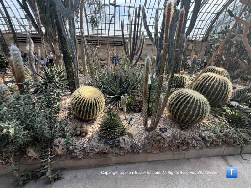 Cacti garden at the Garfield Park Conservatory