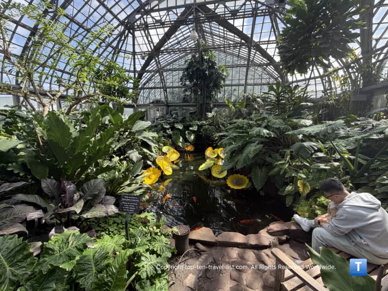 Chihuly artwork at the Garfield Park Conservatory