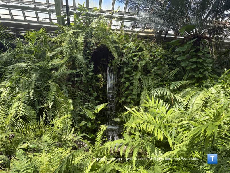 Lush waterfall surrounded by greenery at the Garfield Park Conservatory