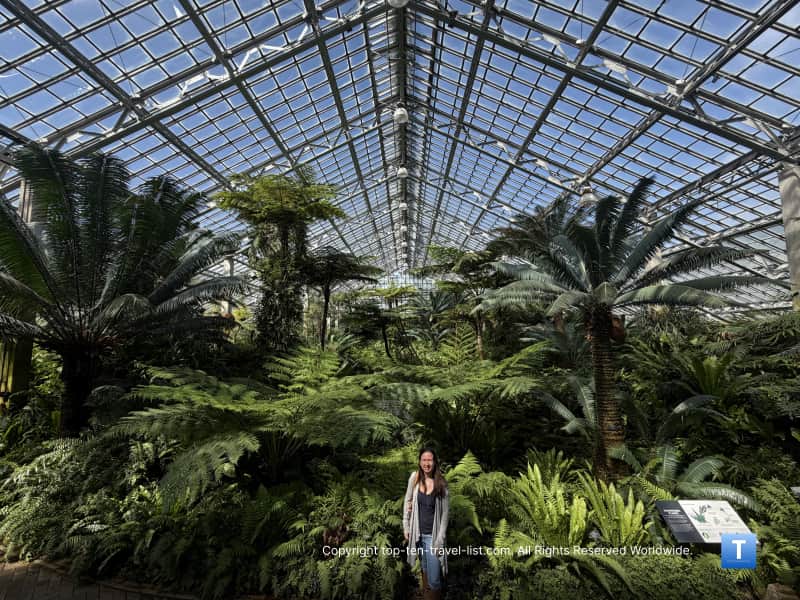 The Fern House at the Garfield Park Conservatory