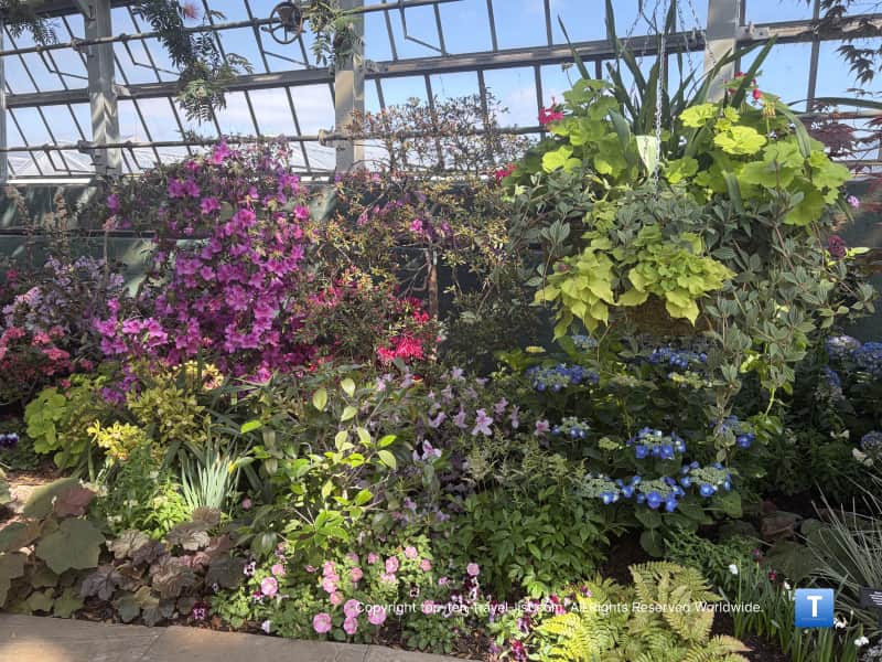 Seasonal spring flower display at the Garfield Park Conservatory