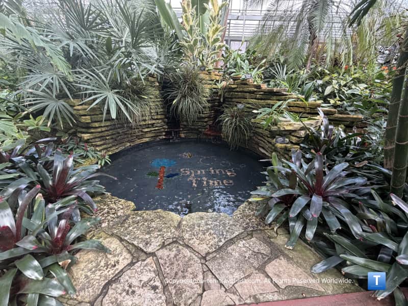 Spring at the Palm House at the Garfield Park Conservatory
