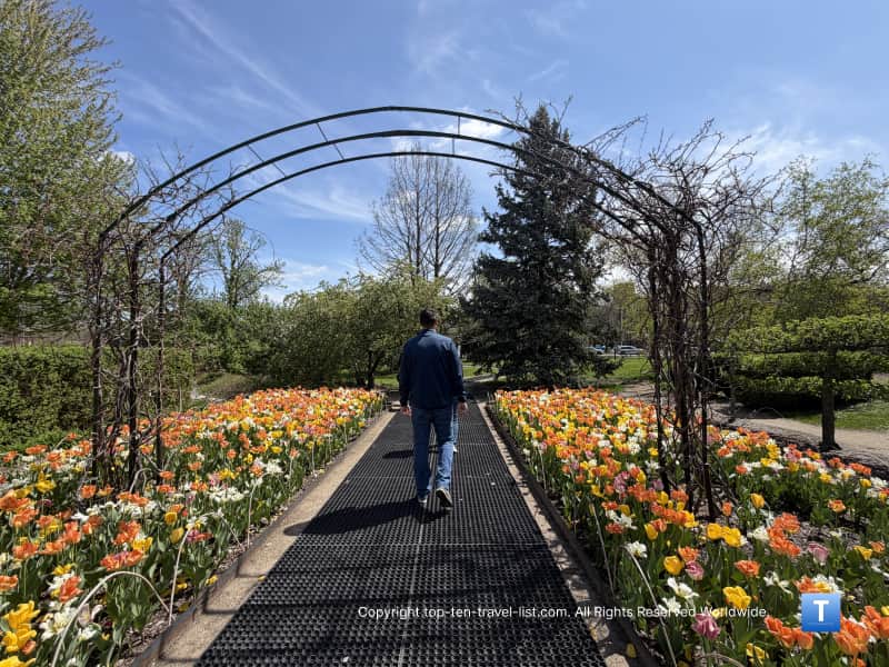 Spring tulips outside the entrance to the Garfield Park Conservatory