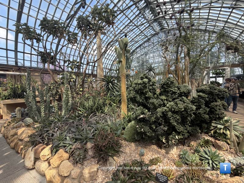 Exotic cacti garden at the Garfield Park Conservatory