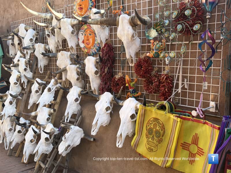 Cow skulls in Santa FE, NM