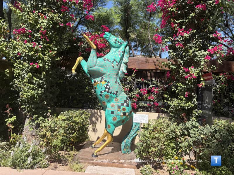 Arabian Horse Show champion stallion in Old Town Scottsdale