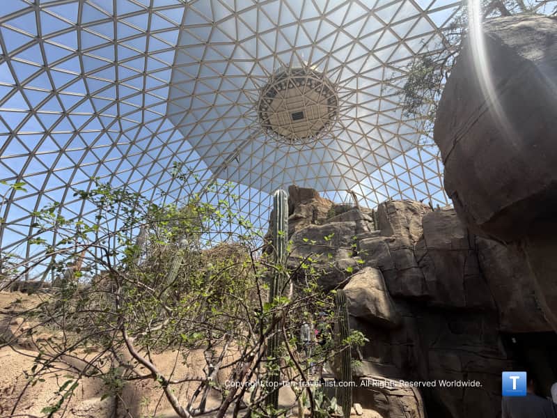 Inside look at Desert Dome at the Henry Doorly Zoo