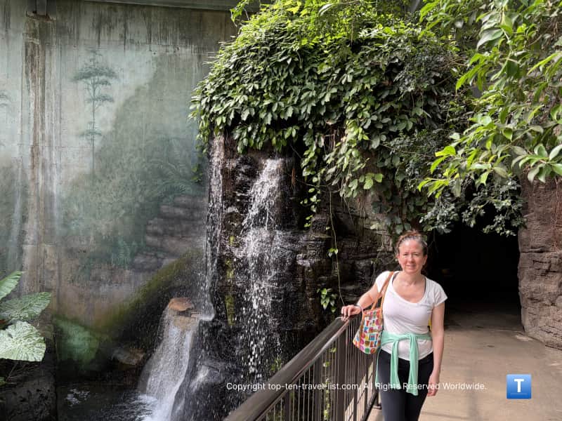 Largest indoor rainforest at the Henry Doorly Zoo