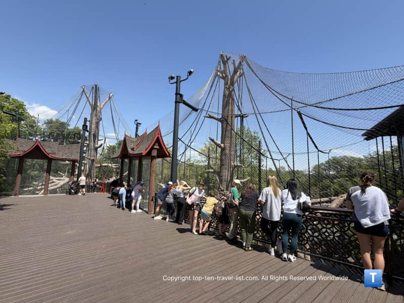 World-class orangutan exhibit at the Henry Doorly Zoo