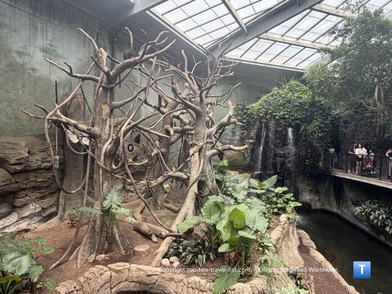 Primate tree climbing structure at the Henry Doorly Zoo Lied Jungle