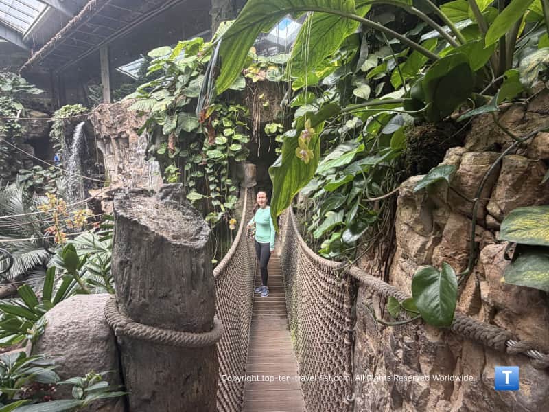 Swinging bridge at Lied Jungle at the Henry Doorly Zoo