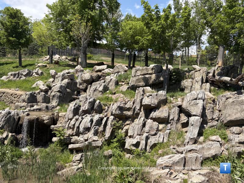 Takin Goral exhibit at the Henry Doorly Zoo