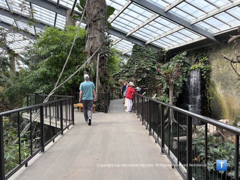 Lied Jungle walkway at Henry Doorly Zoo