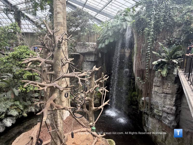 Waterfall at Lied Jungle at the Henry Doorly Zoo