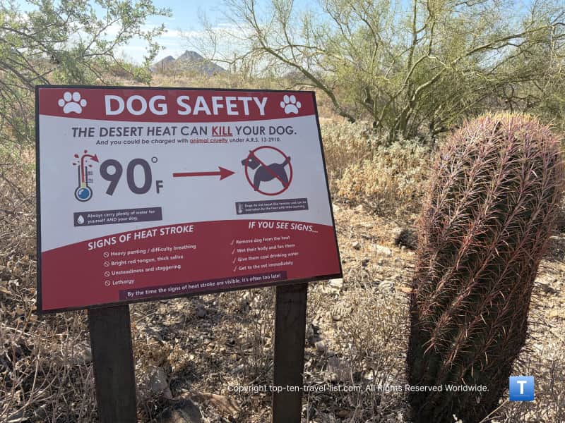Dog safety hiking tips in the Sonoran desert