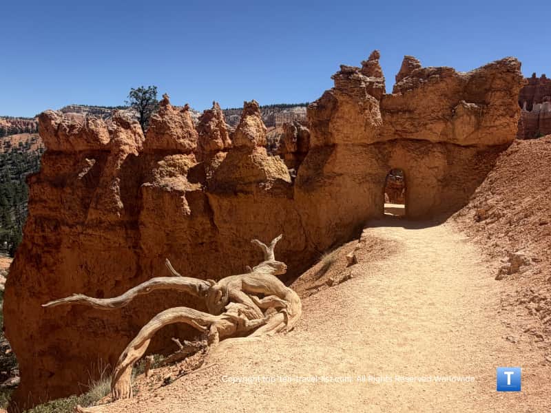 Man made tunnel on the Queen's Garden trail at Bryce Canyon National Park
