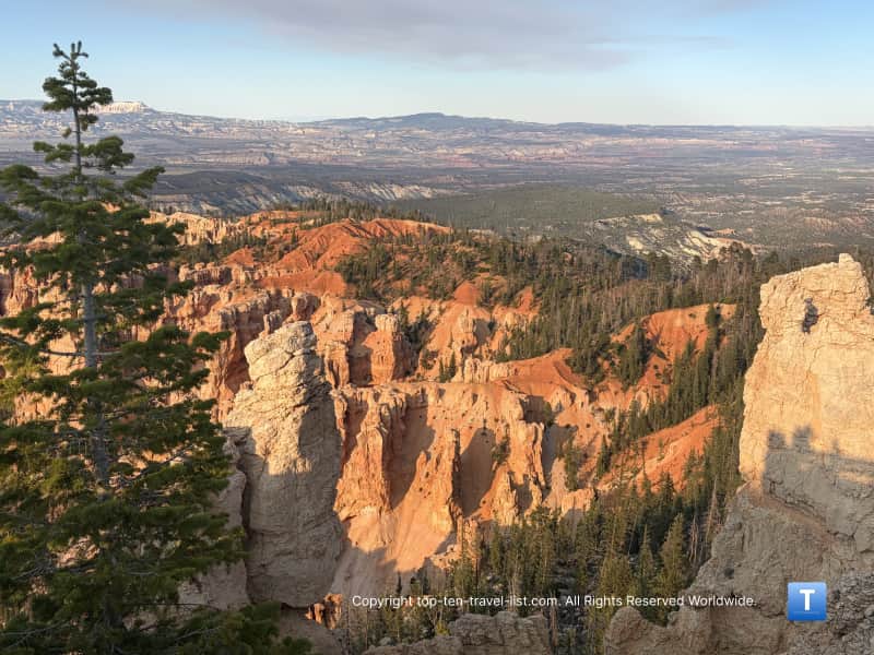 Looking into the hoodoos from Rainbow Point at Bryce Canyon