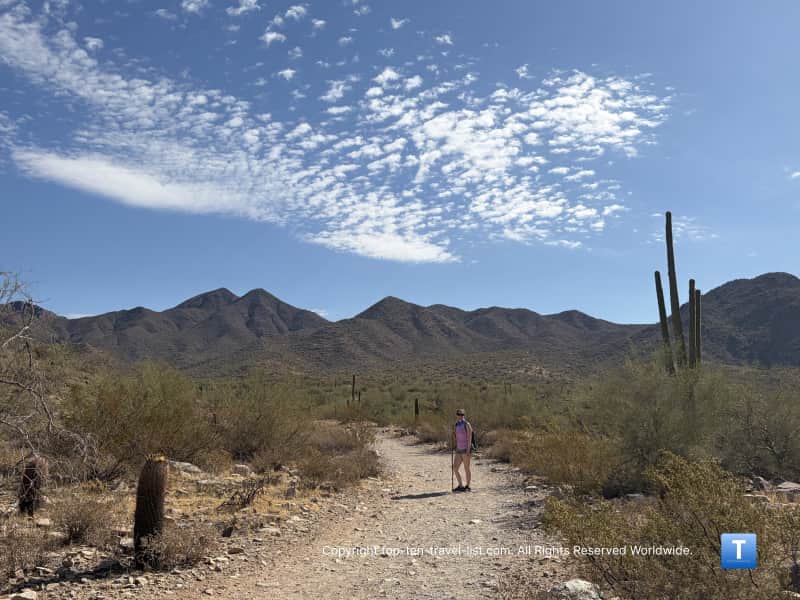 Hiking the Lost Dog Wash/Ringtail loop trail in Scottsdale